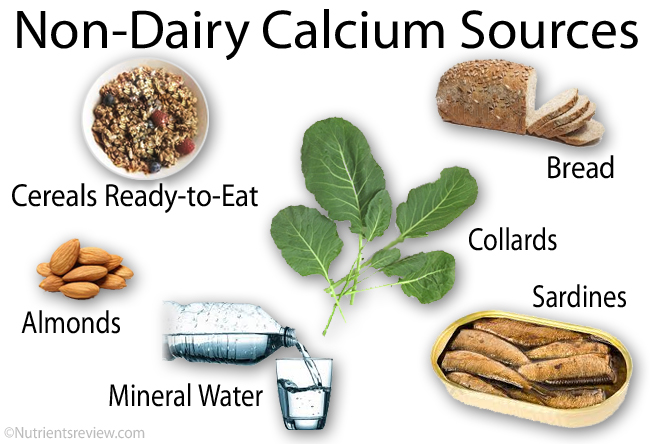 Non-Dairy High-Calcium Foods Picture