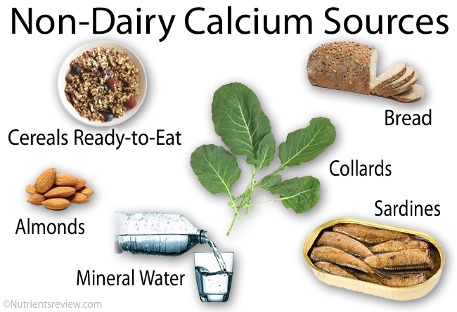 calcium rich foods chart