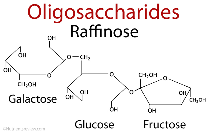 Structure of Oligosaccharides