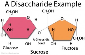 A disaccharide picture