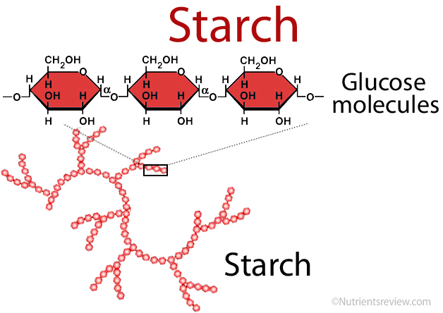 Starch structure image