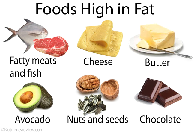 Foods high in fat image