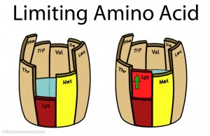 Limiting amino acid picture