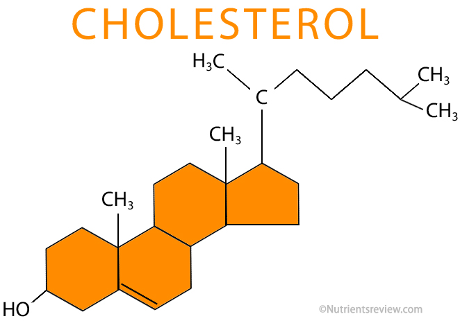 Cholesterol structure formula