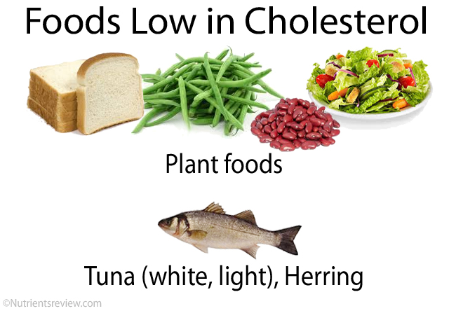 Low-cholesterol foods
