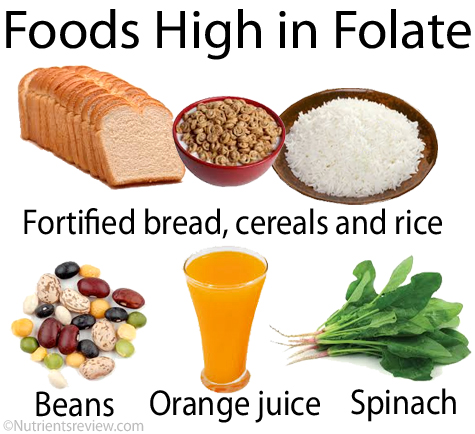 Folate-rich foods image