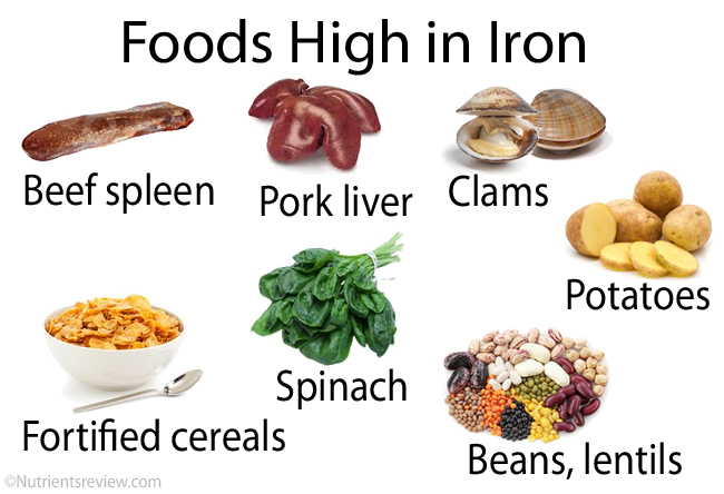 Potraviny s vysokým obsahem železa