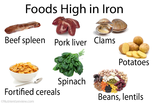 List Of Iron Rich Foods Chart