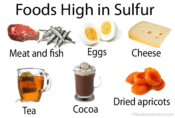 Sulfur Food Chart