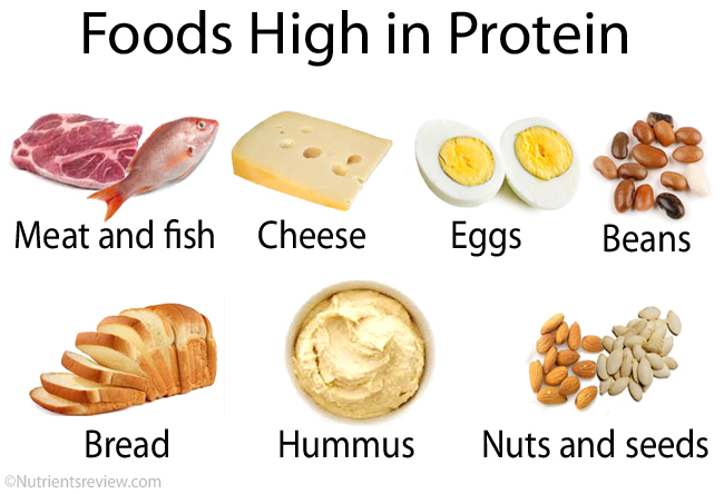 Food And Protein Chart