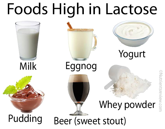 Lactose Foods Chart