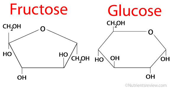 Fructose Levels In Food Chart