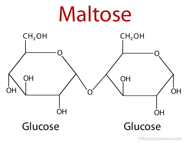 What is a reducing sugar?