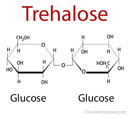 Trehalose structure
