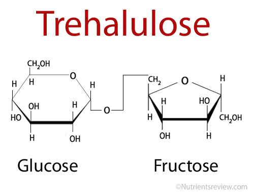 Trehalulose structure
