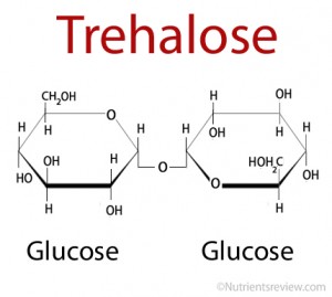 Trehalose is a reducing sugar. Calories, Side Effects